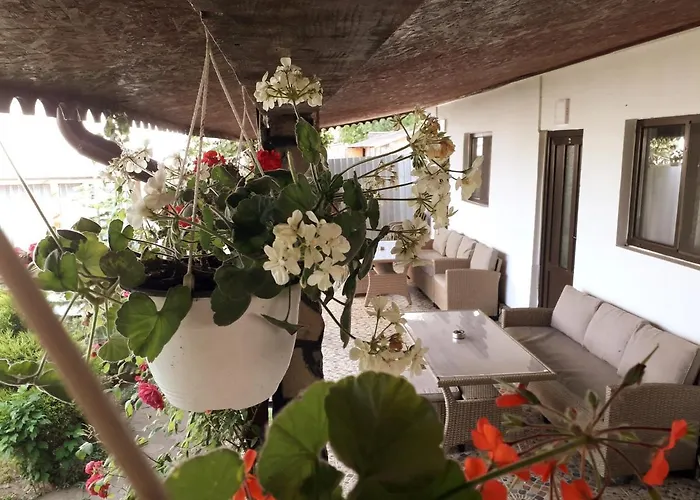 Casa Chitu
