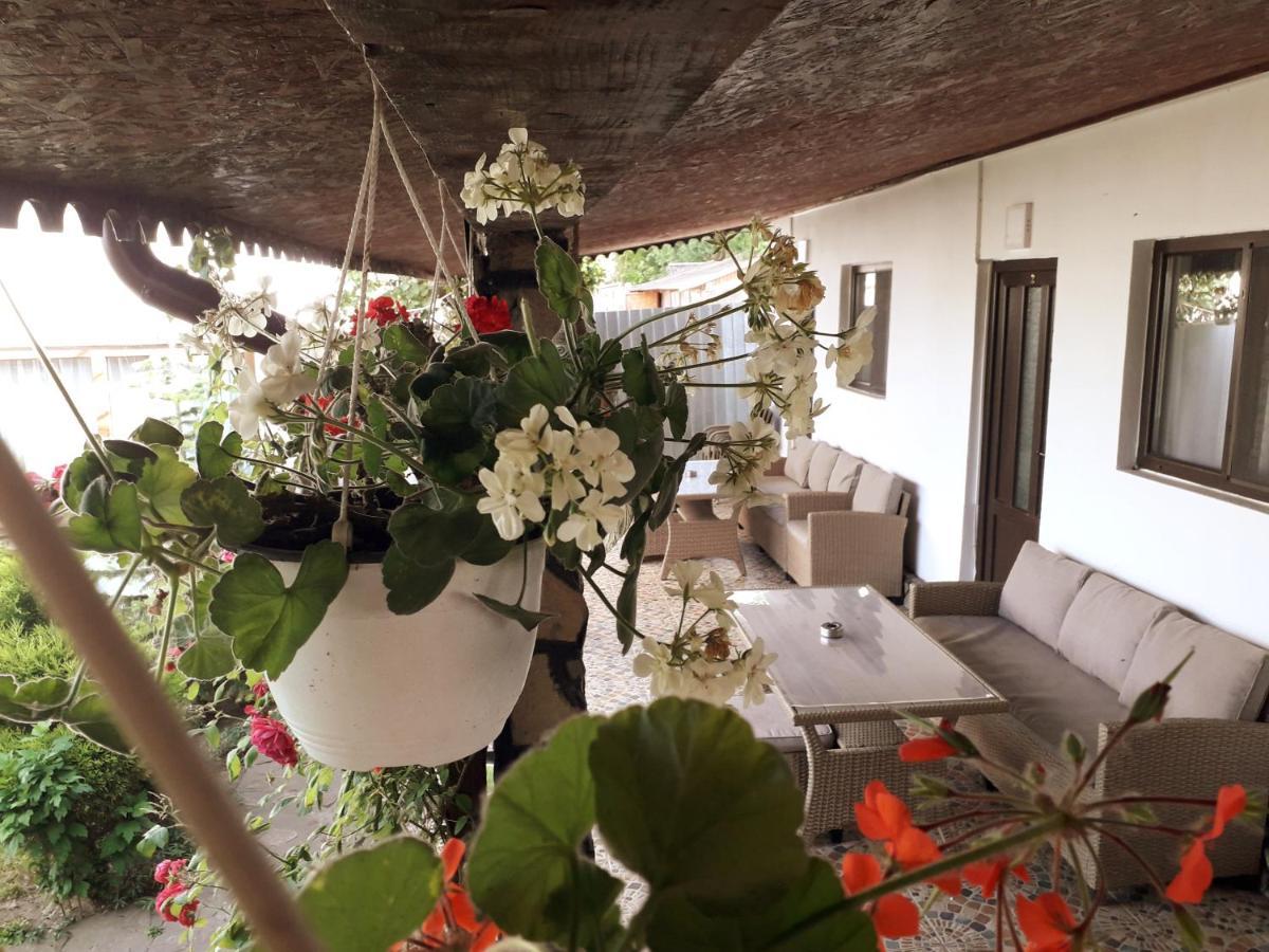 Casa Chitu * Murighiol