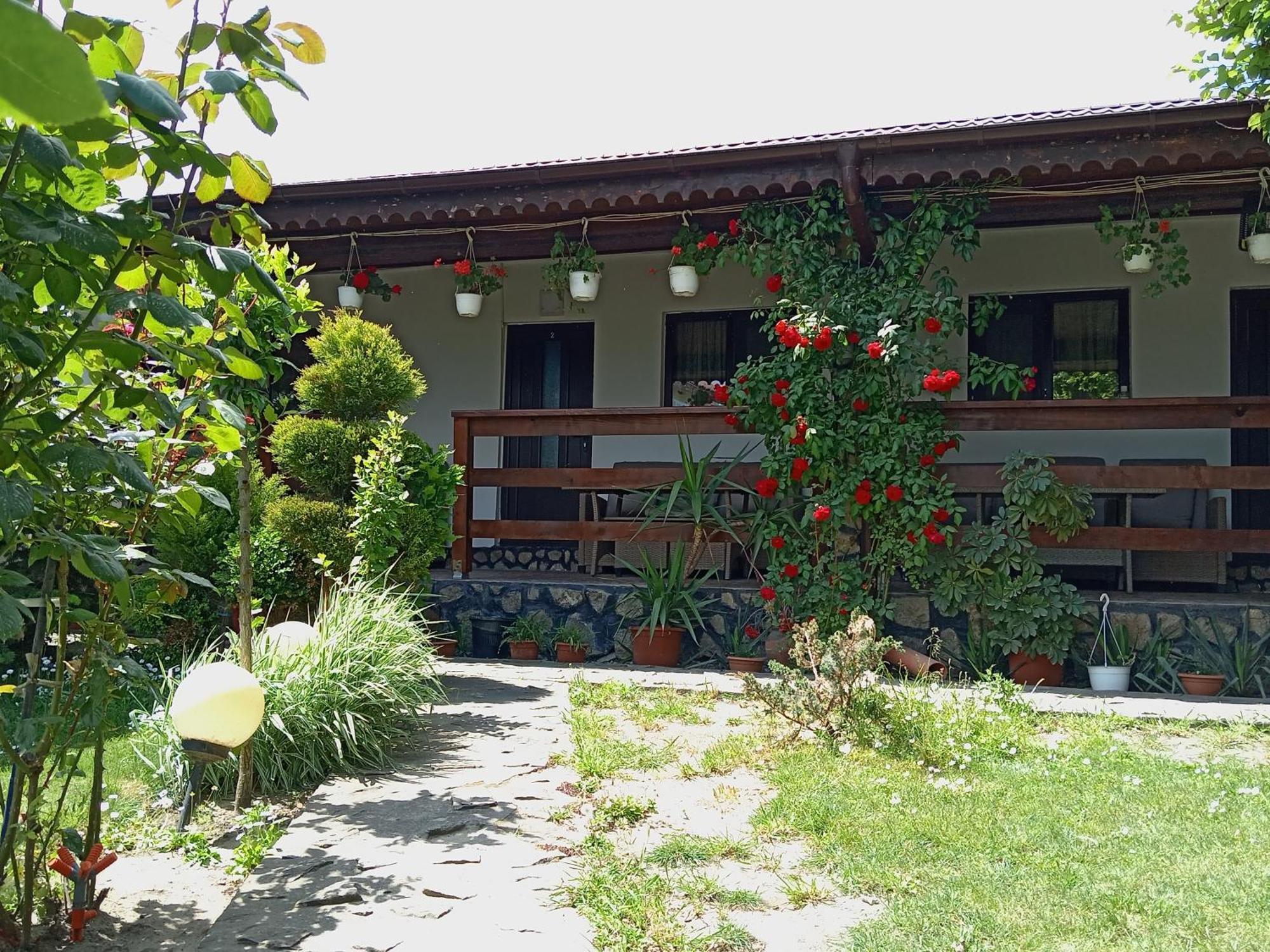 Casa Chitu * Murighiol