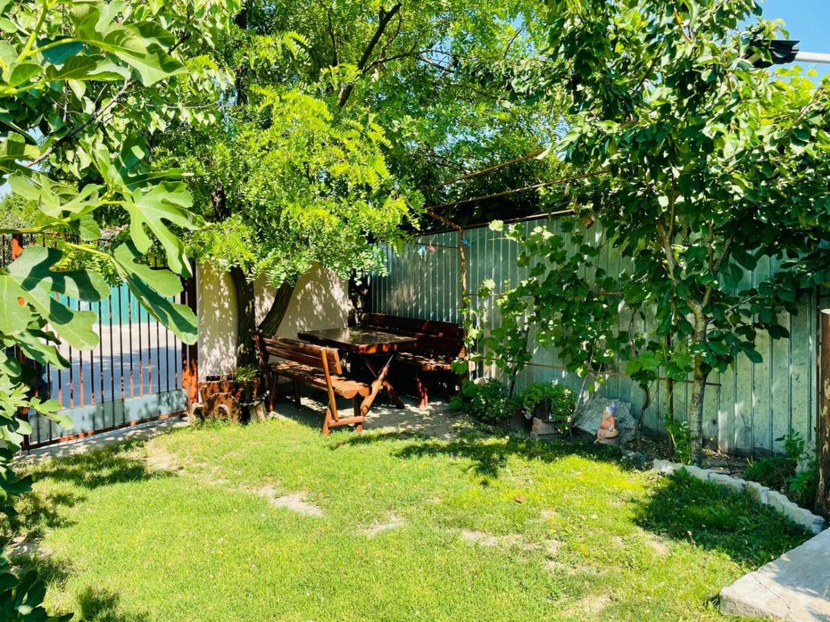 Casă la țară Casa Chitu *