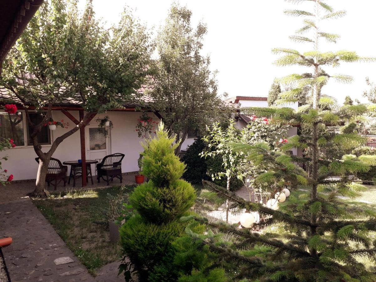 Casa Chitu * Murighiol