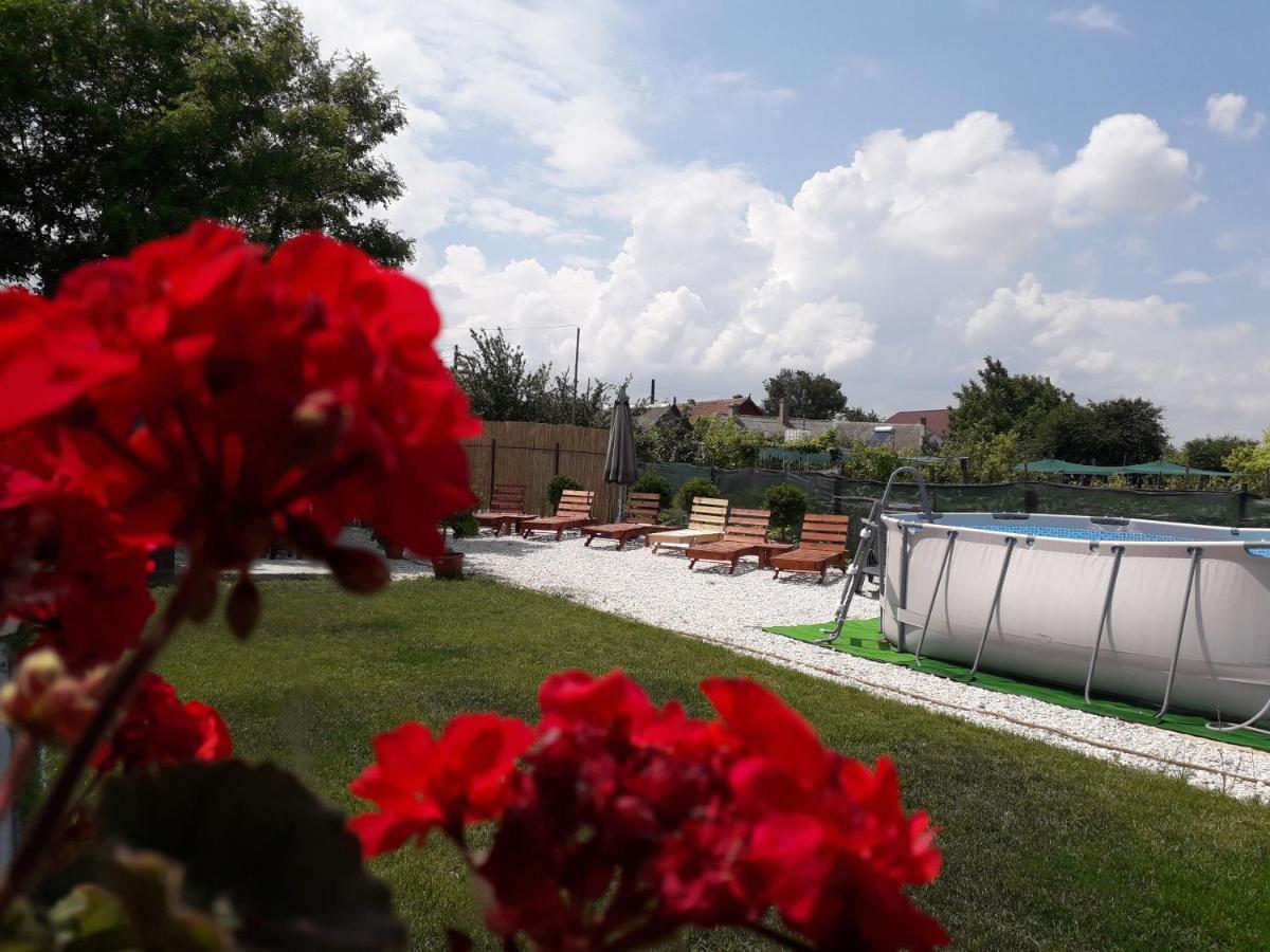 Casă la țară Casa Chitu Murighiol