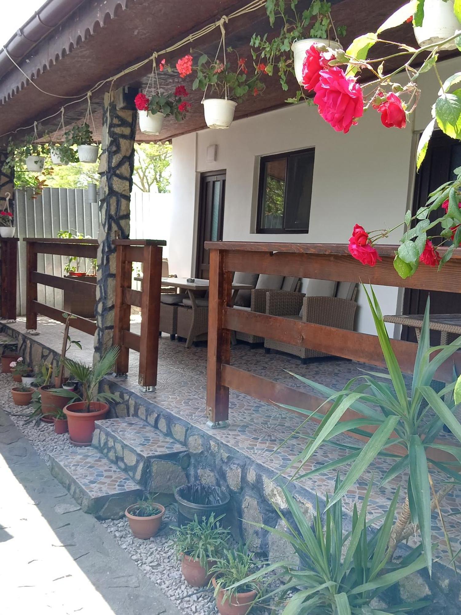 Casa Chitu *
